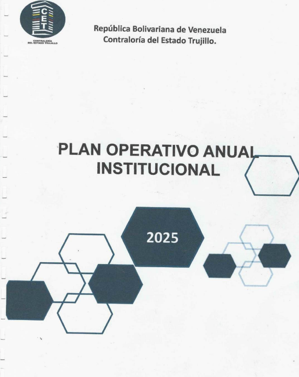 PLAN OPERATIVO ANUAL INSTITUCIONAL 2025